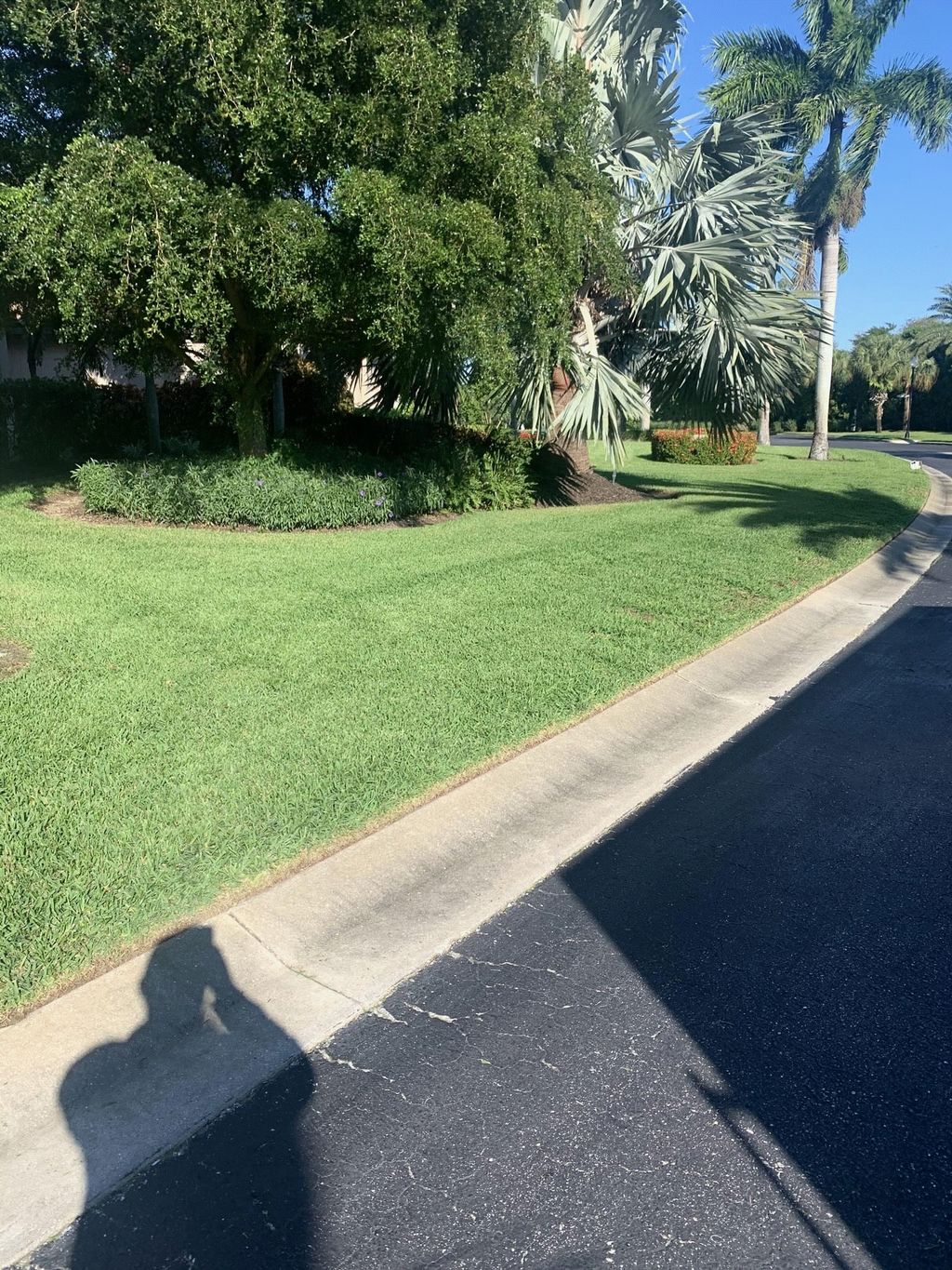After 2 services by Sherlock Homes