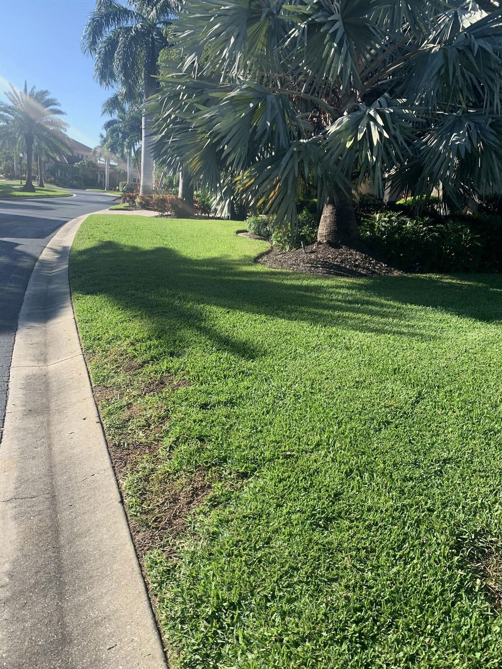 Before. lawn taking care of a large corp company. 