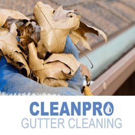 Clean Pro Gutter Cleaning Humble
