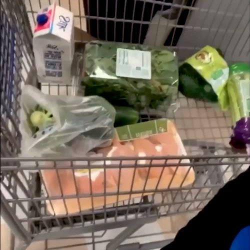 Grocery Shopping with Alexandria