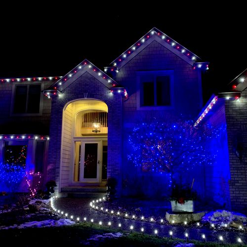 Red/Cool White Roofline with blue mini LED trees!