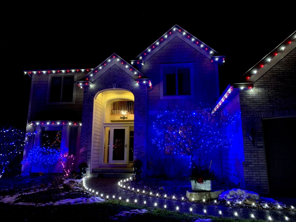 Red/Cool White Roofline with blue mini LED trees!