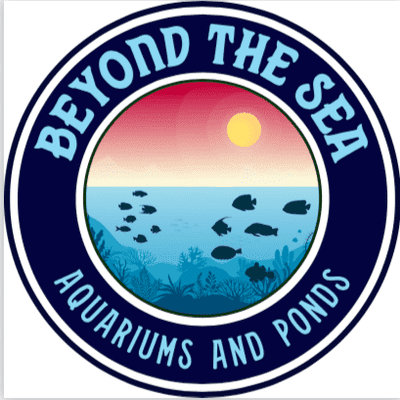 Avatar for Beyond The Sea Aquarium And Ponds
