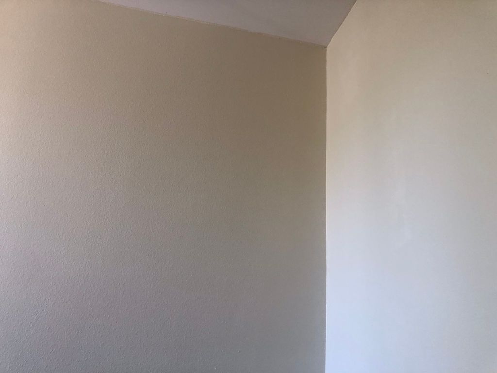 Front door/ stairwell painting 