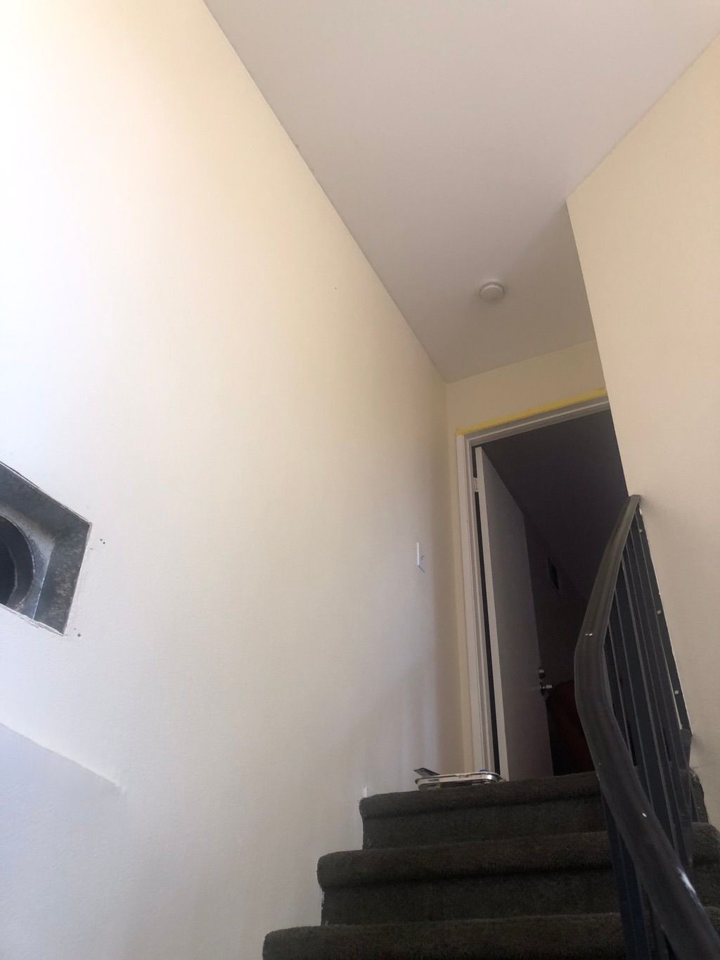 Front door/ stairwell painting 