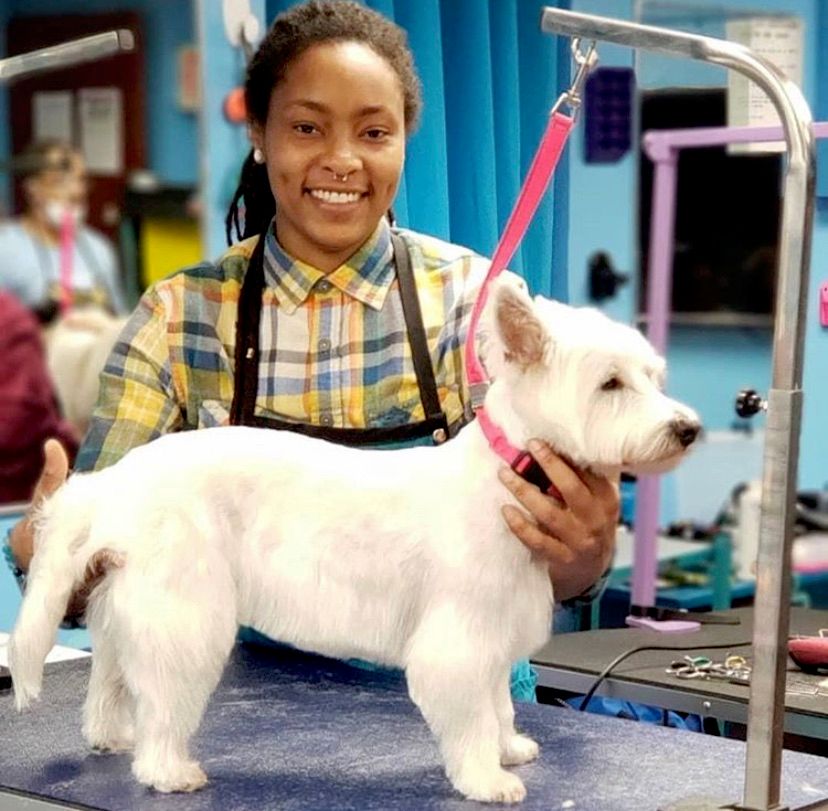 mobile dog grooming brooklyn