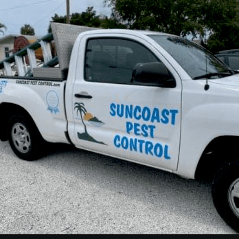Sun Coast Pest Control Saint Petersburg, FL Thumbtack