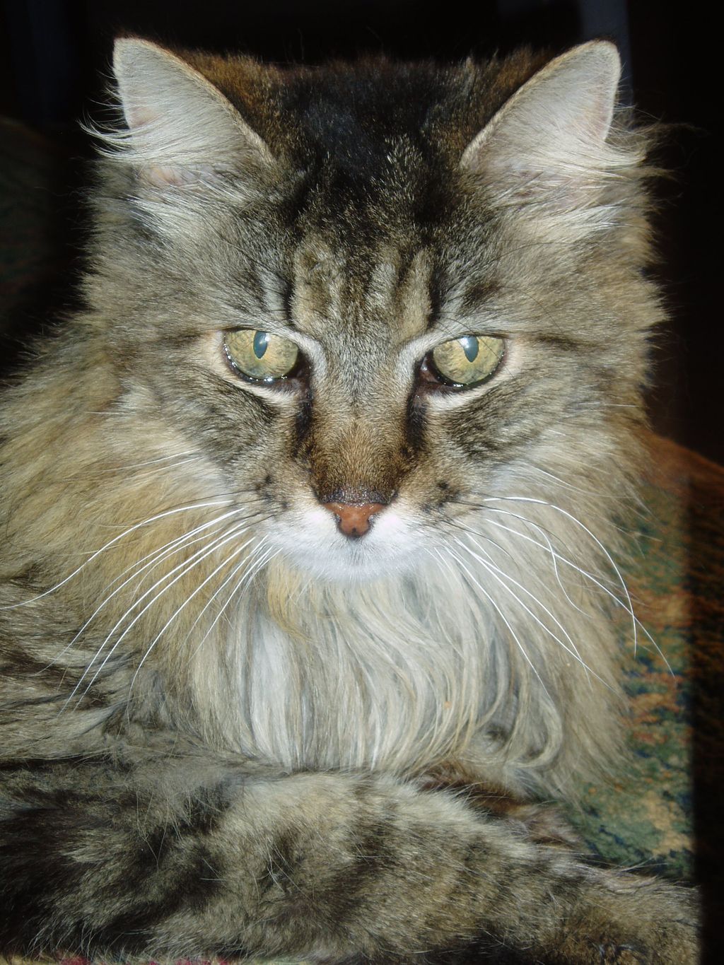 Keiji