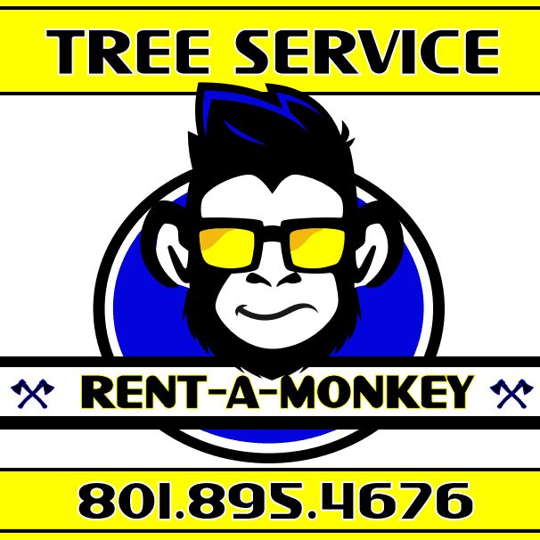 Rent A Monkey