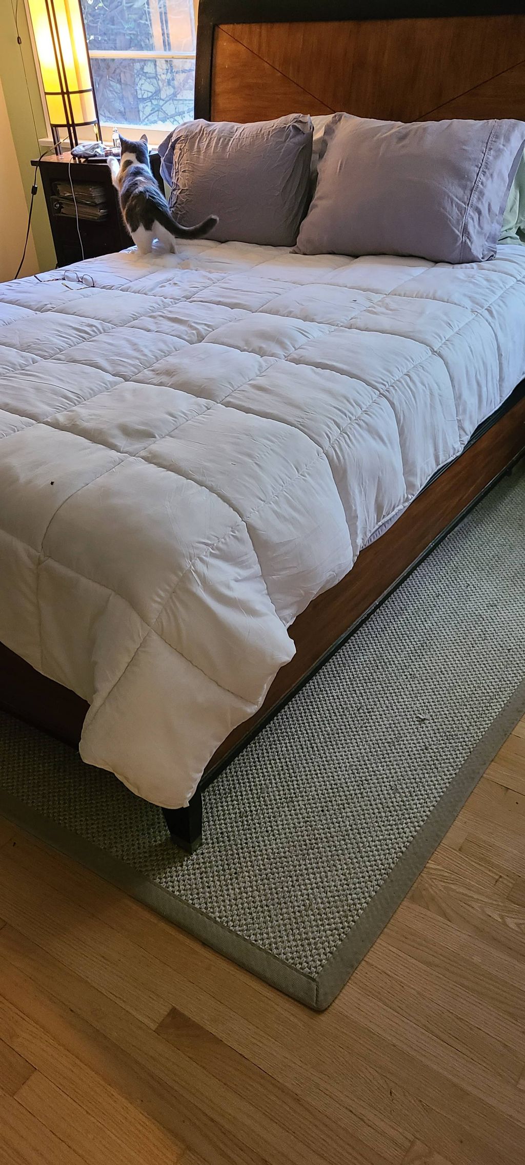 Customer photos