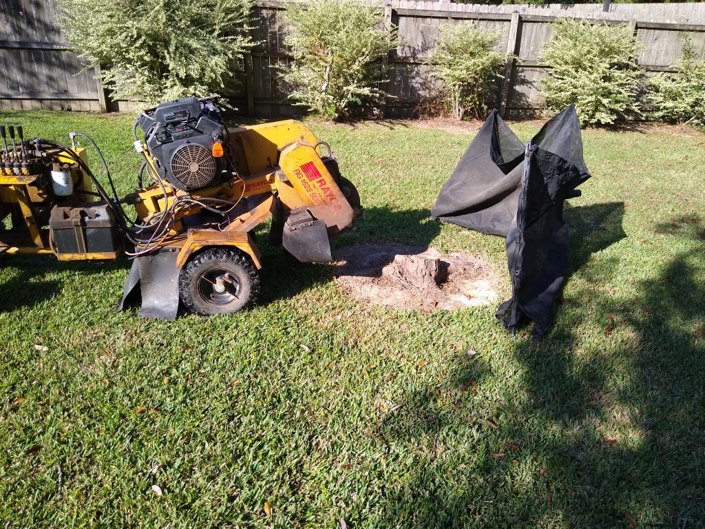 Tree Stump Grinding and Removal