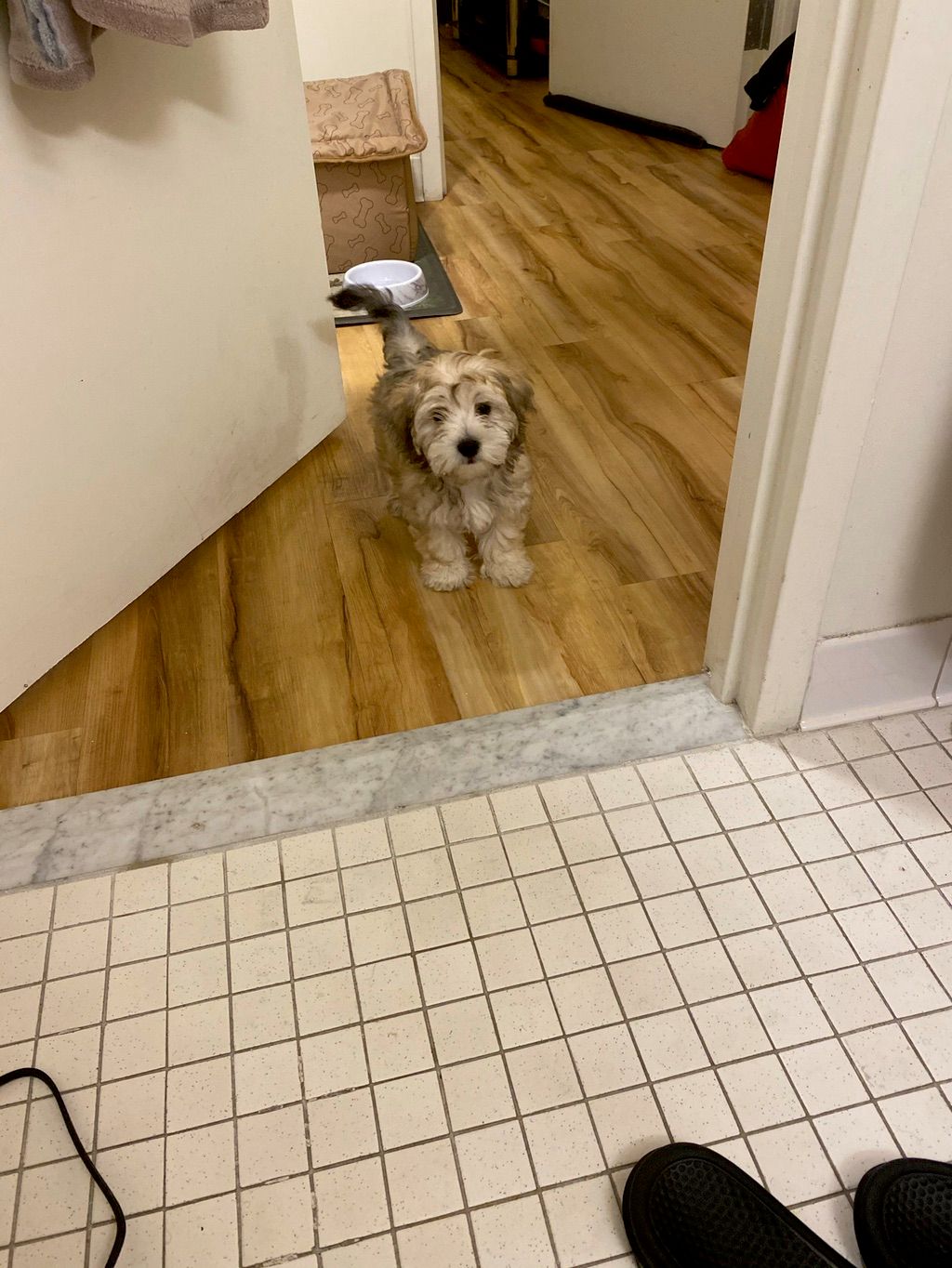 Customer photos