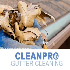 Clean Pro Gutter Cleaning Rochester
