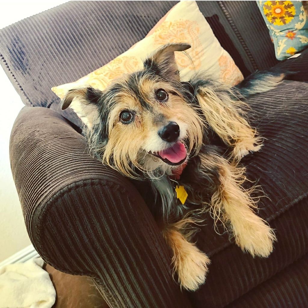 Lulu💜