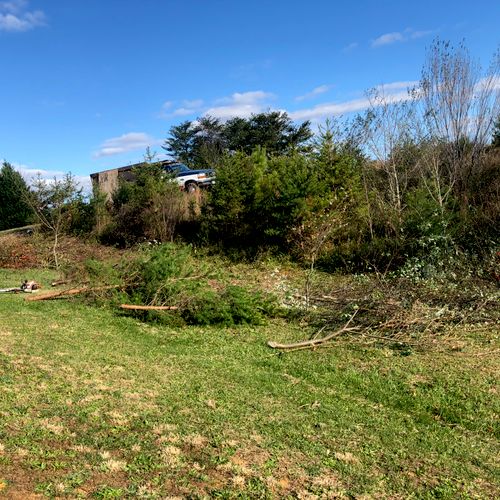 Big Trees Landscaping & Tree Service Llc Belmont, NC