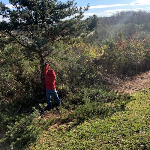 Big Trees Landscaping & Tree Service Llc Belmont, NC