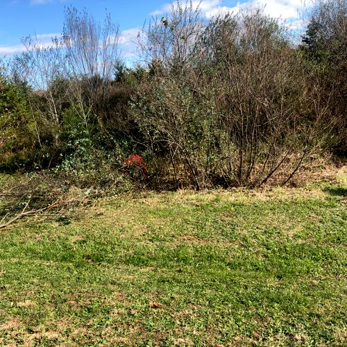 Big Trees Landscaping & Tree Service Llc Belmont, NC