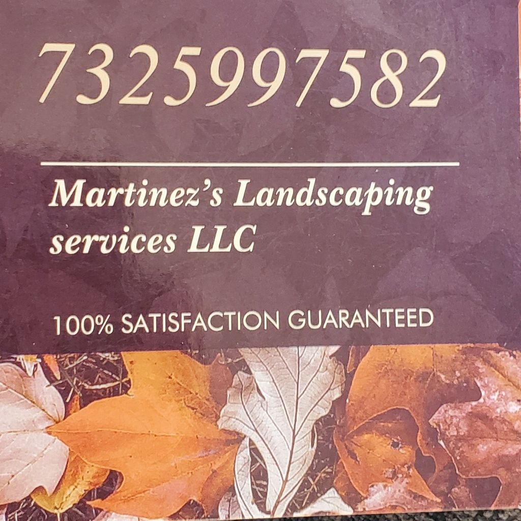 MARTINEZ'S LANDSCAPING SERVICES LLC