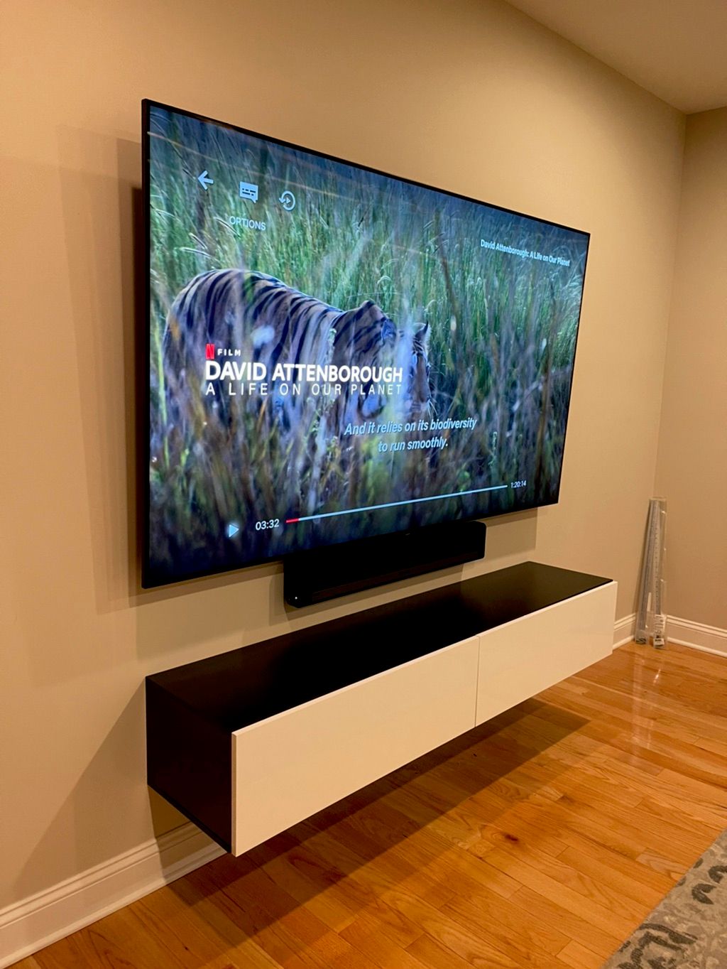 TV Mount with in wall wire concealment & floating 