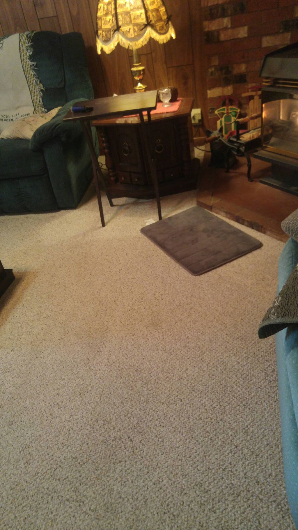 living room cleaned and carpet cleaned also