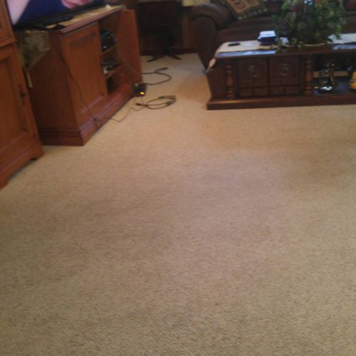 living room cleaned and carpet cleaned also