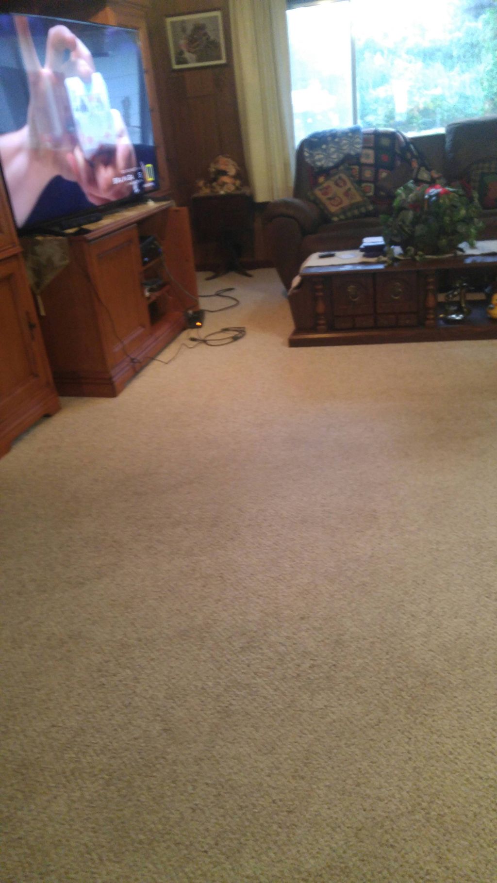 living room cleaned and carpet cleaned also