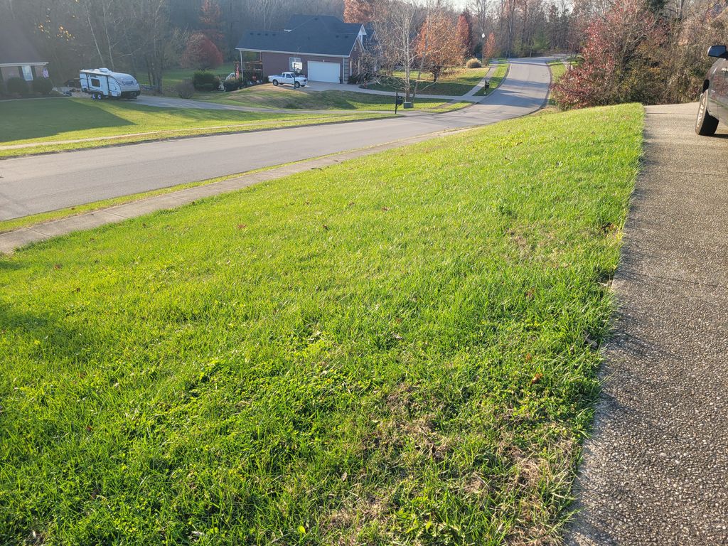 Lawn Mowing and Trimming