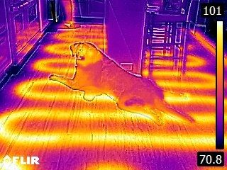 Infrared Thermography shows radiant heat is workin