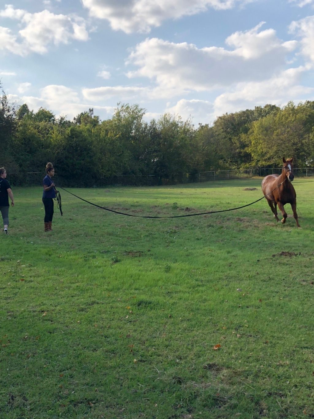 One of the volunteers doing ground work with Ruby.