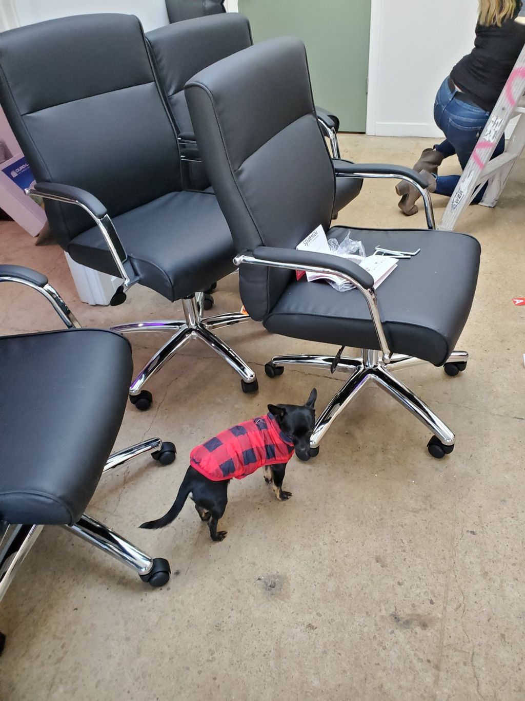 Customer photos