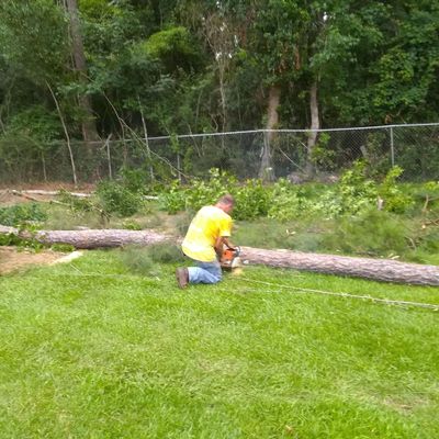 Avatar for Lonnie and jimmy's tree service and sod