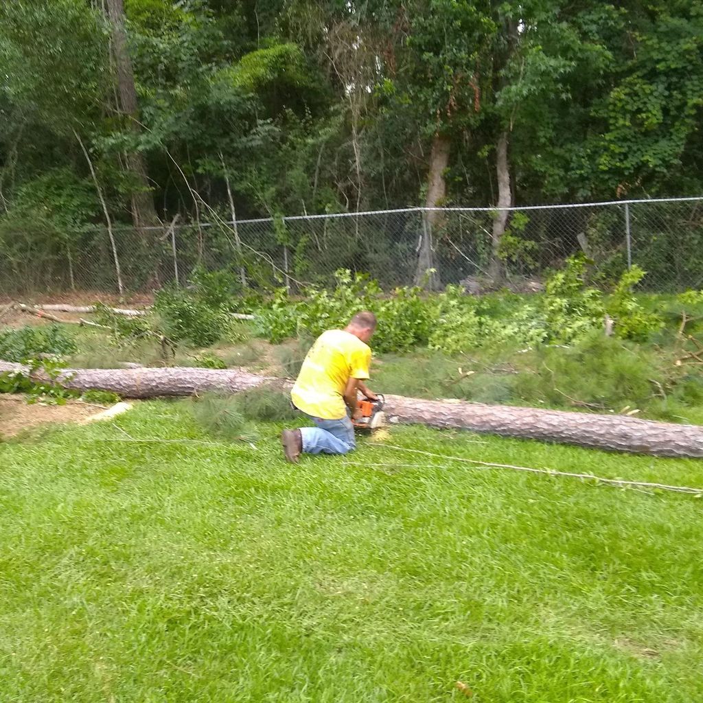 Lonnie and jimmy's tree removal and stump grinding