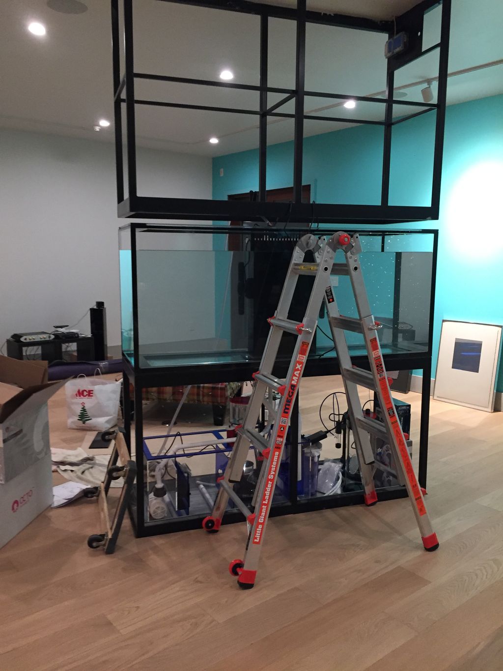 Projects and media