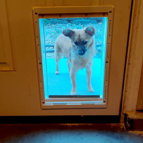 Satisfied on installation of pet door, would hire 