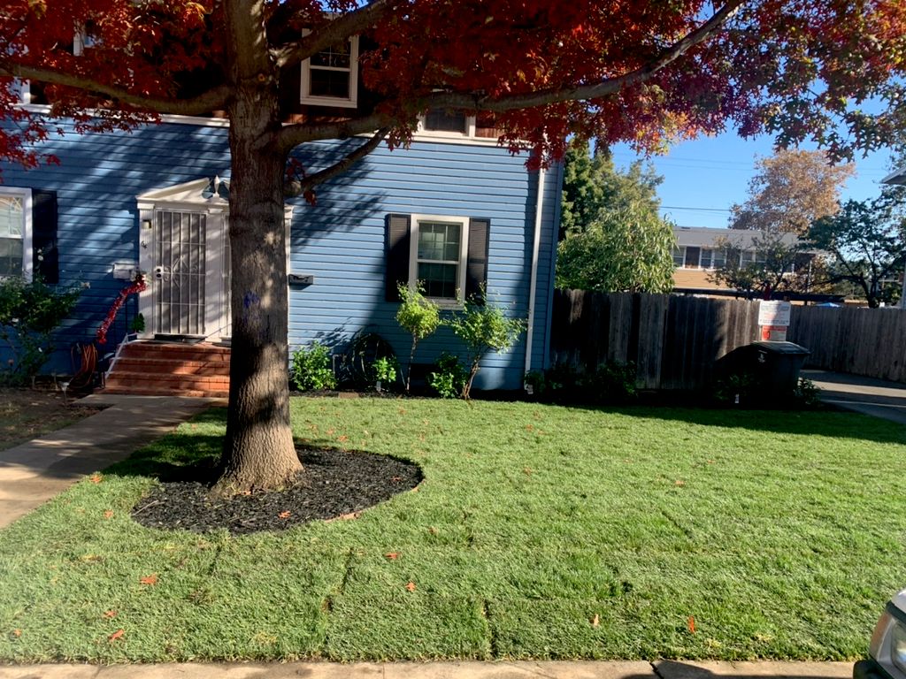 Nicasio’s landscaping