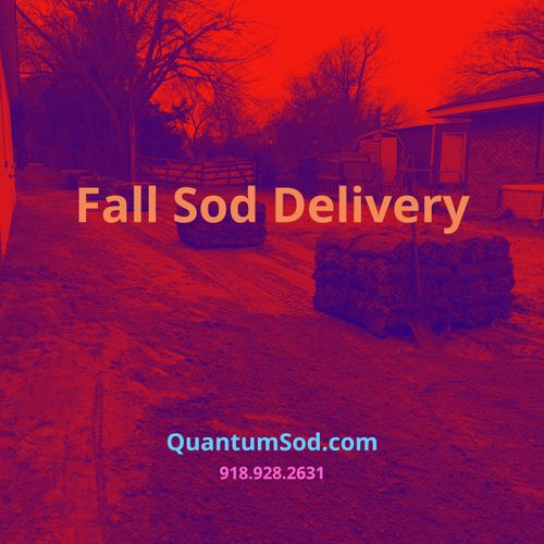 Quantum Sod - Tulsa Sod Delivery - Tulsa Sod Deliv