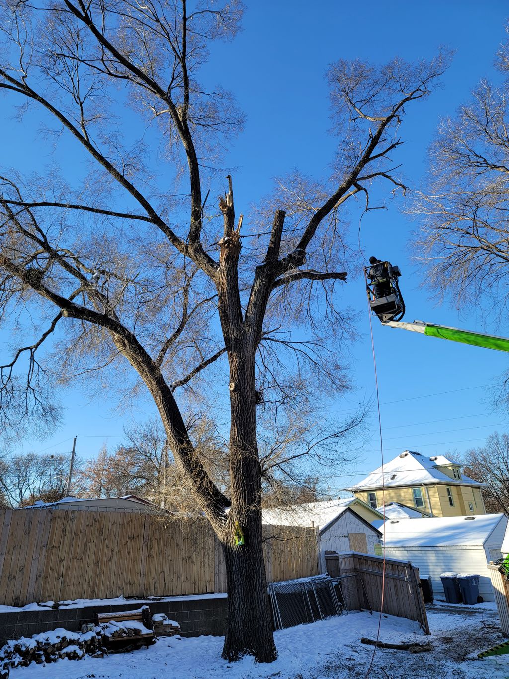 Rivetts tree service