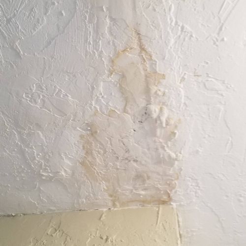 We've had a stain on the ceiling from a previous l