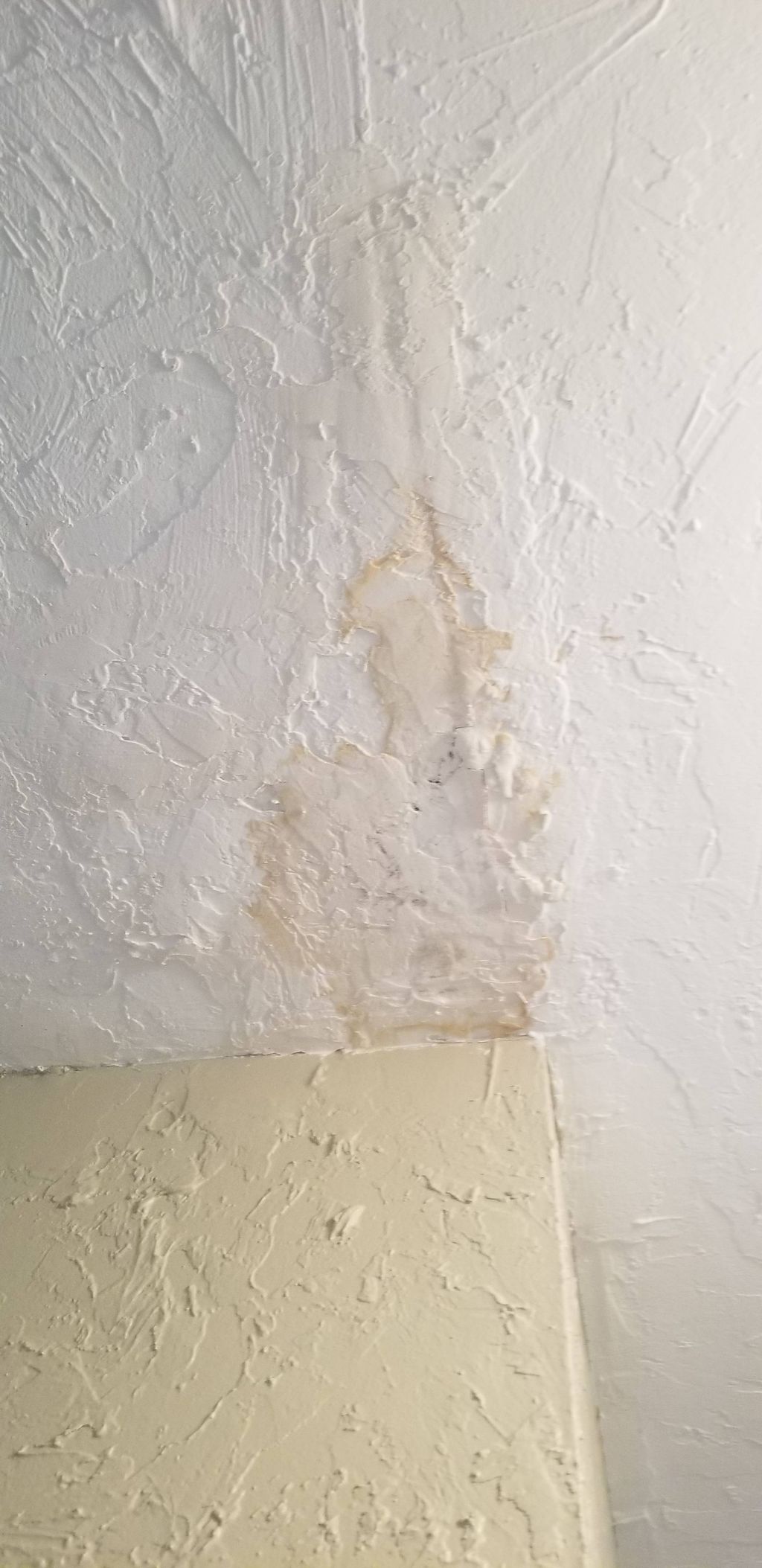 We've had a stain on the ceiling from a previous l