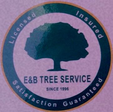 E & B tree service