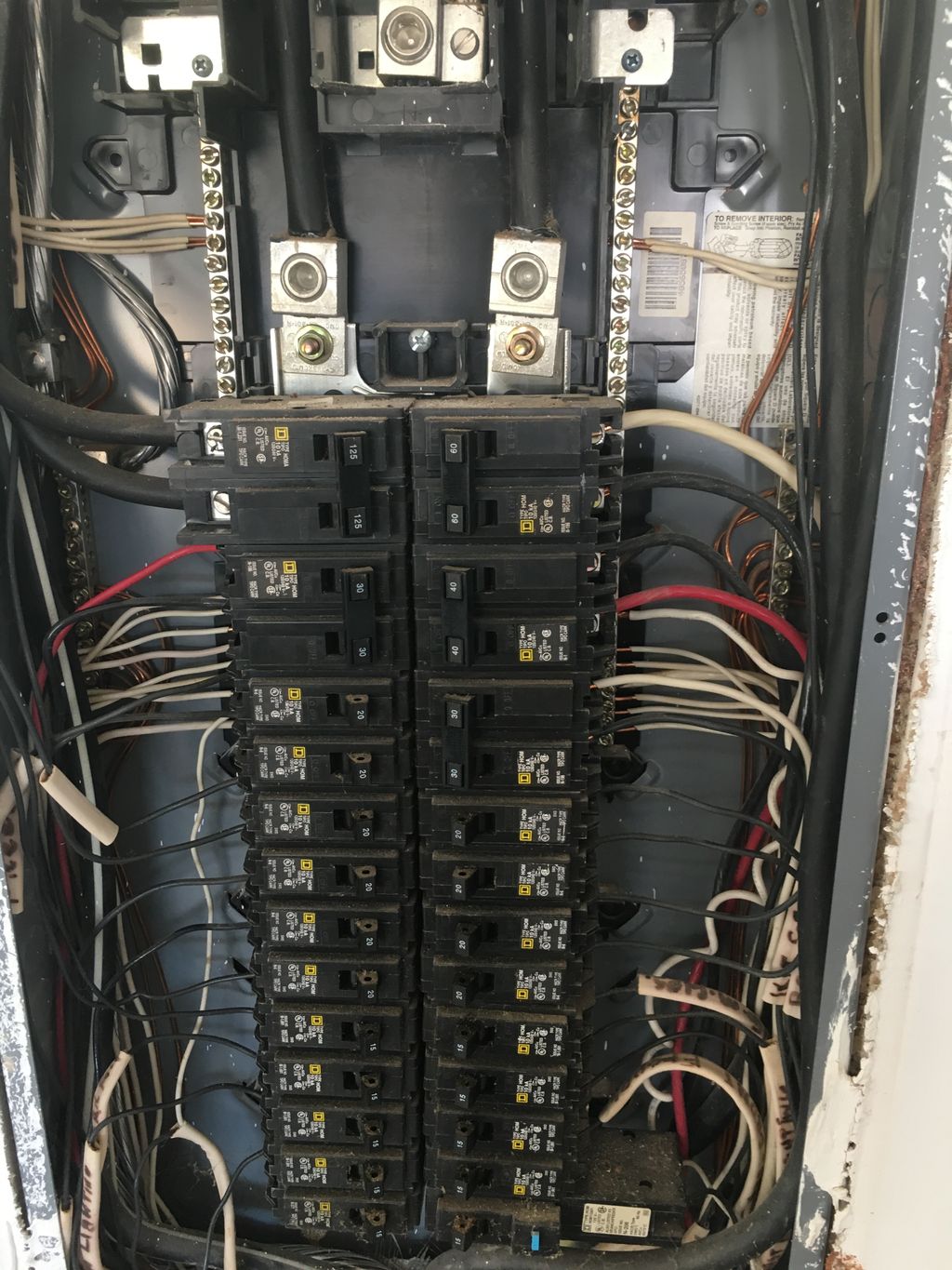 Projects and media