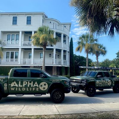 Avatar for Alpha Wildlife