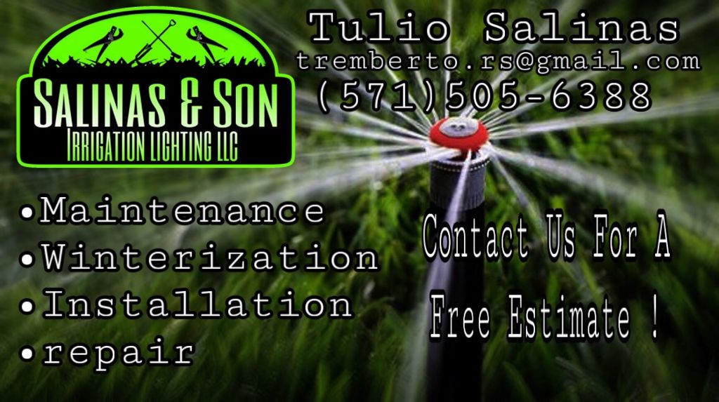 Salinas & son irrigation lighting LLC