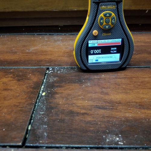 Saturated Hardwood Floors