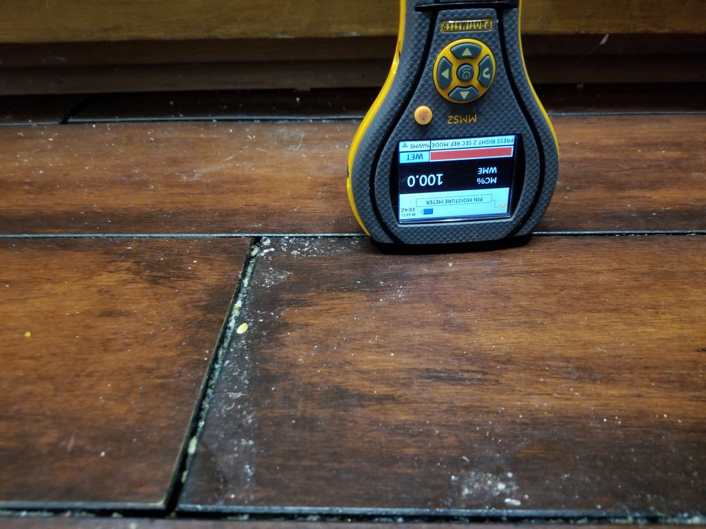 Saturated Hardwood Floors