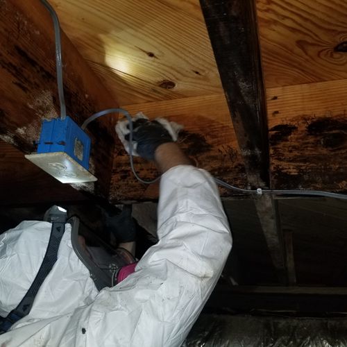 Mold Cleaning in Crawl Space