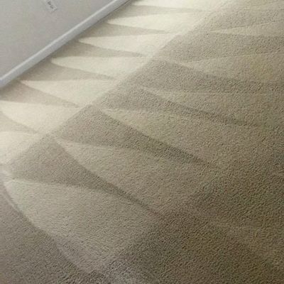 Avatar for Midwest Dry Carpet & Upholstery Cleaning LLC