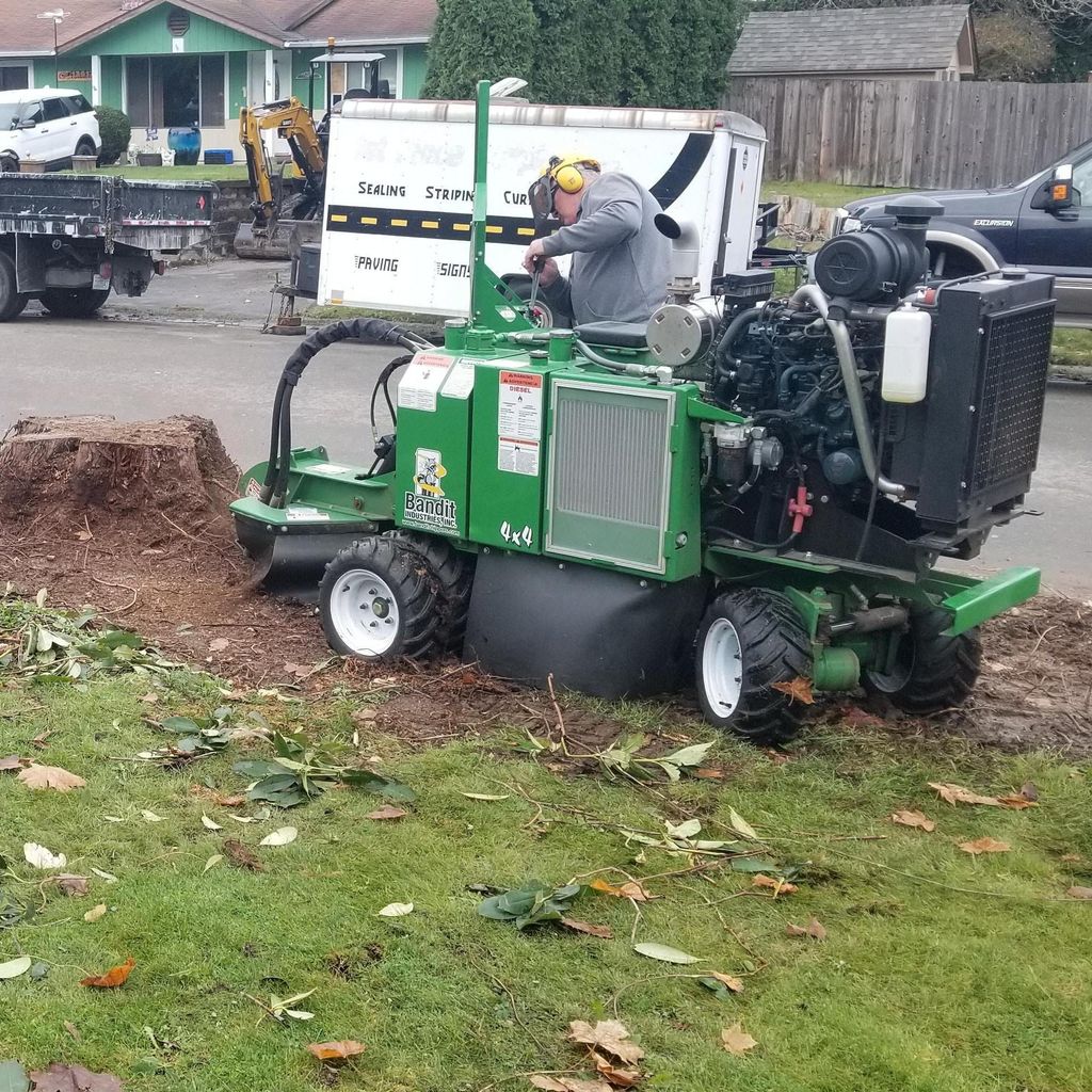 1 Stump at a Time