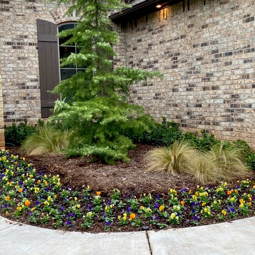 Featured Projects
