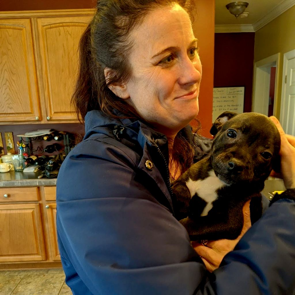 Spoiled Pawz Dog Walking & pet care, LLC